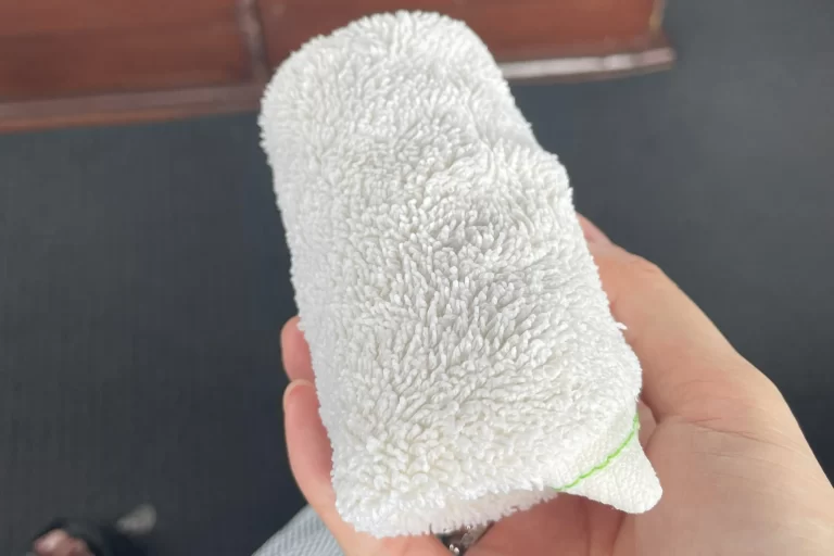 アナンタラシャトルボートのおしぼり