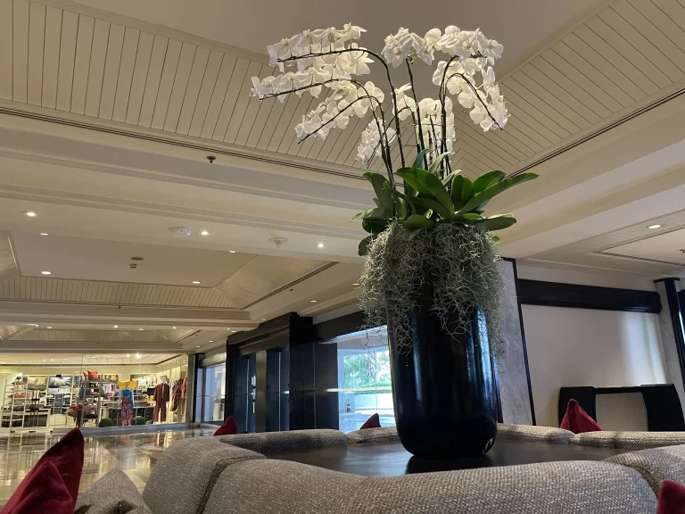 ロビーのお花