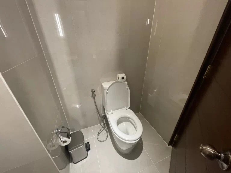 客室入口横のトイレ