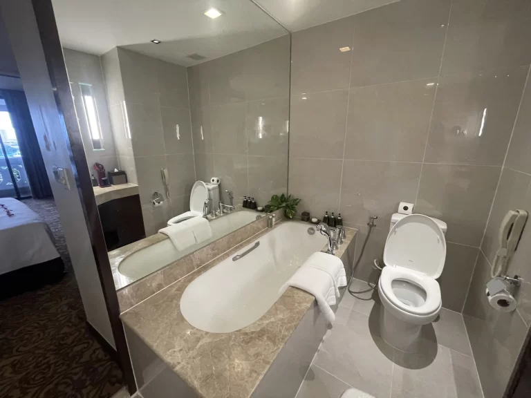 シャワールームのバスタブとトイレ