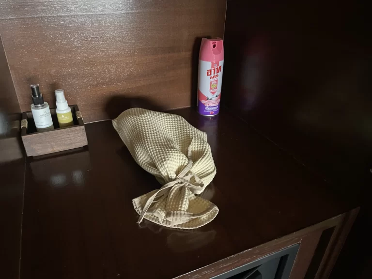 クローゼット右側