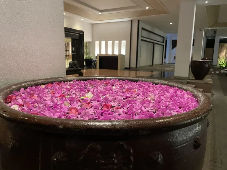 正面玄関前のお花