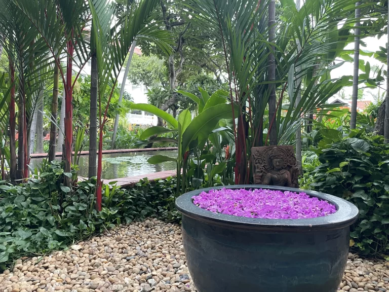 ガーデン内のお花1