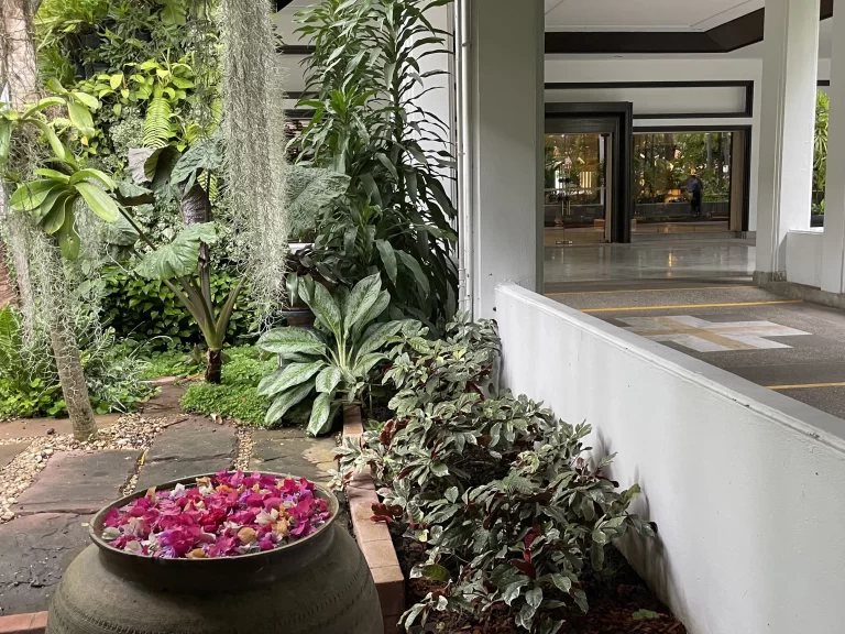 ガーデン内のお花2