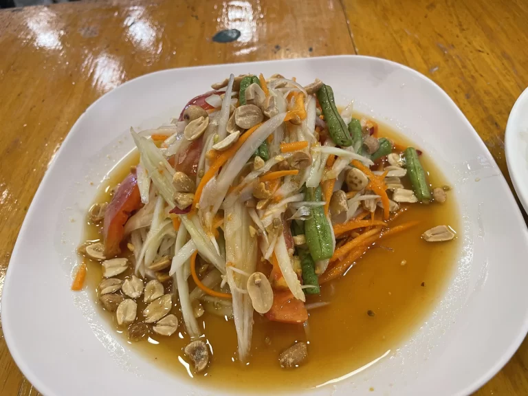 ソムタム（青パパイヤのサラダ）