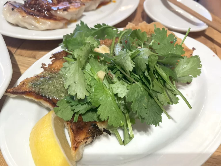 パクチー焼餃子