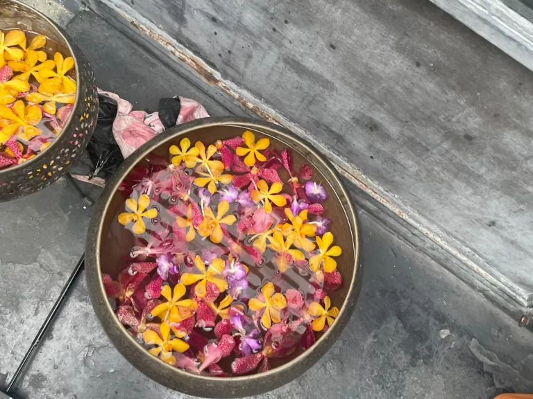 ロングロス 店前の花を浮かべた鉢