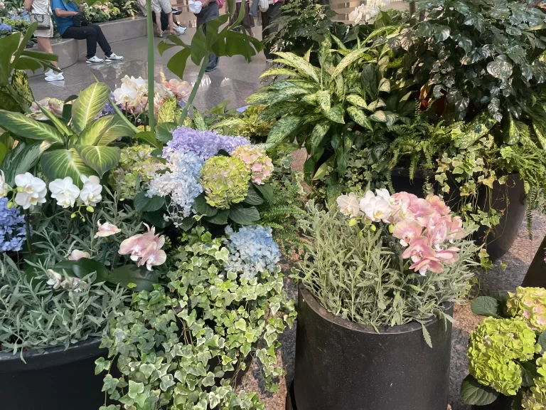 台北101ショッピングモールの草花