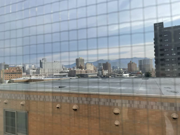 客室からの景色