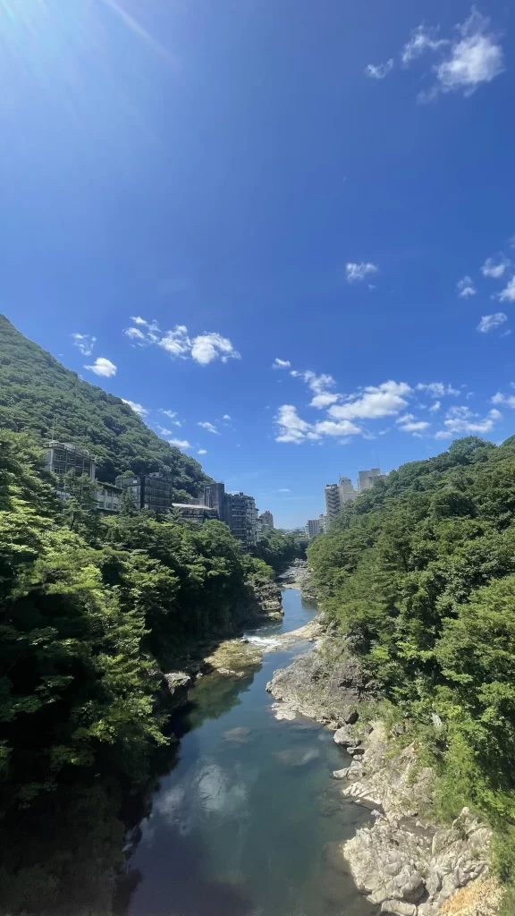 滝見橋からの景色