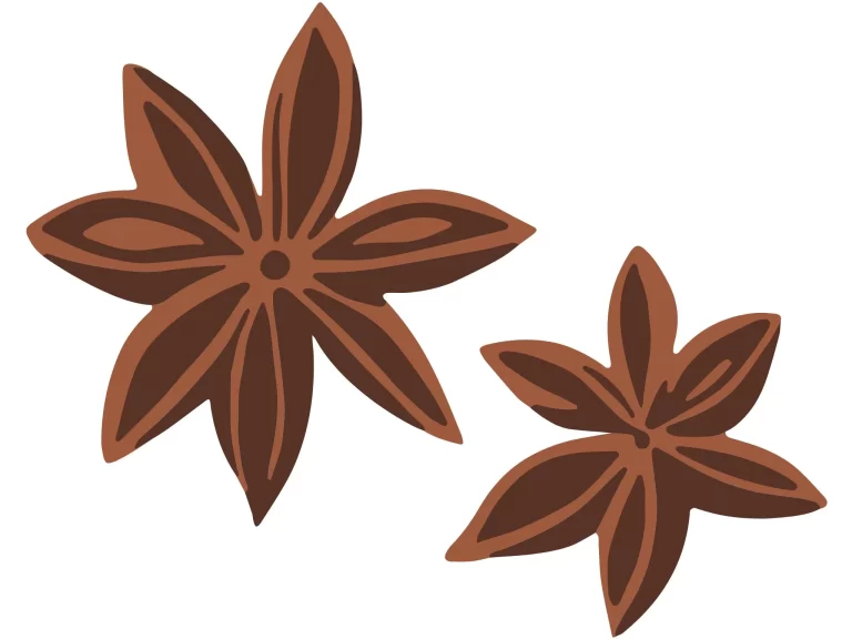 八角のイラスト