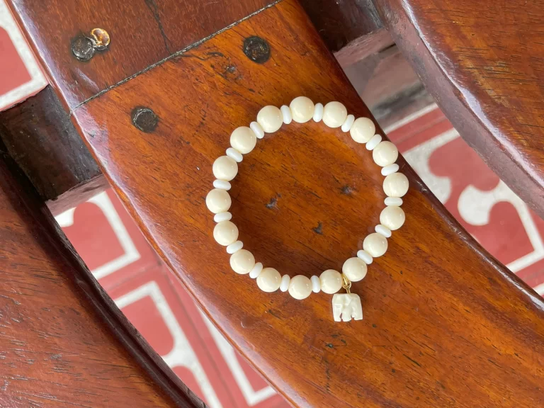 アユタヤ駅で撮影したゾウ使いの人からのプレゼント