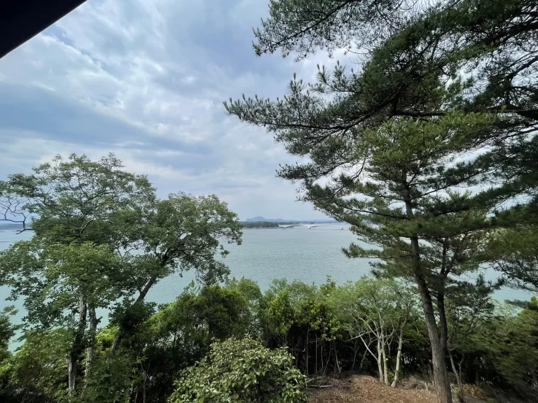 デッキからの景色