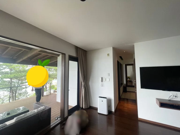 リビングから見たデッキ