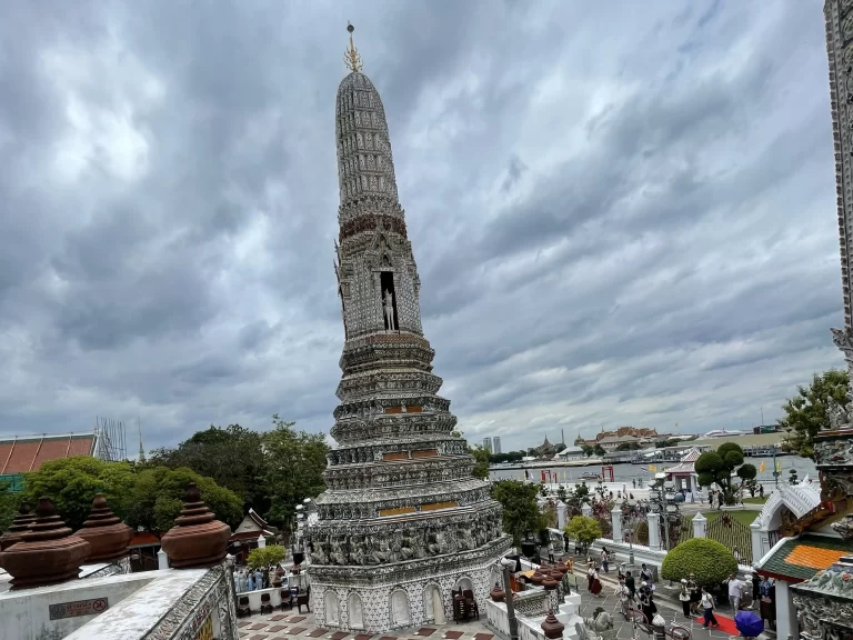 WILD ORCHID（ワイルド・オーキッド）